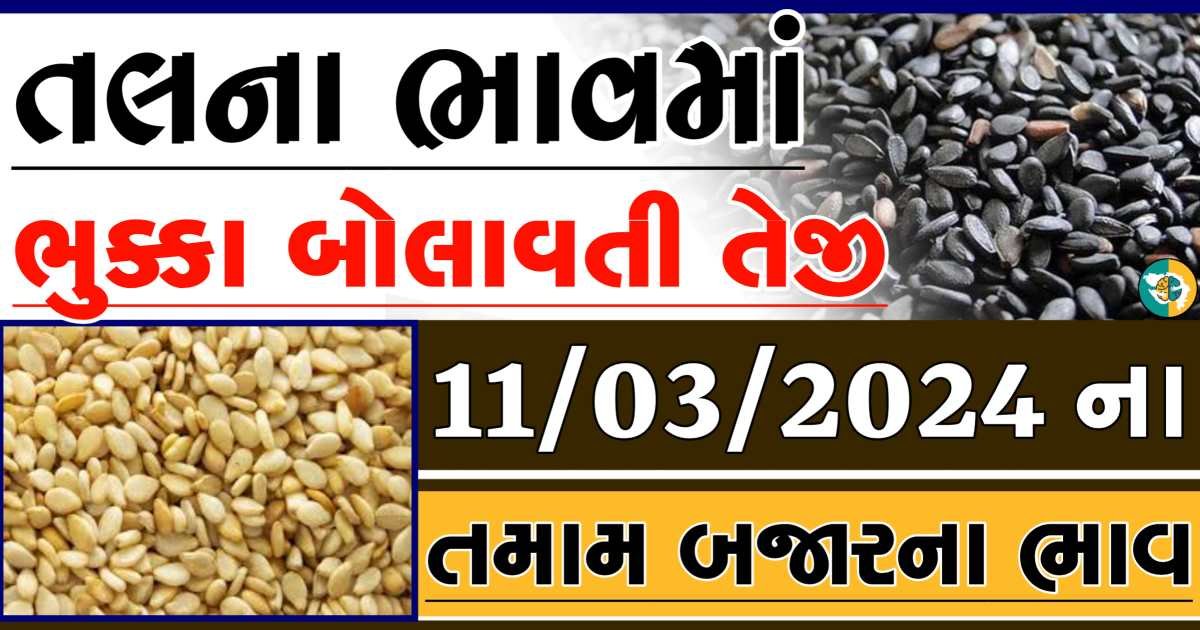 Today 11/03/2024 Sesame Apmc Rate આજના સફેદ અને કાળા તલના બજાર ભાવ Gkmarugujarat.com