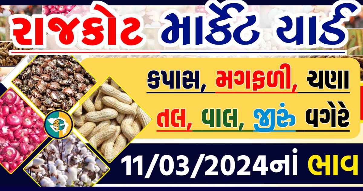 Today 11/03/2024 Rajkot Apmc Rate આજના રાજકોટના બજાર ભાવ Gkmarugujarat.com