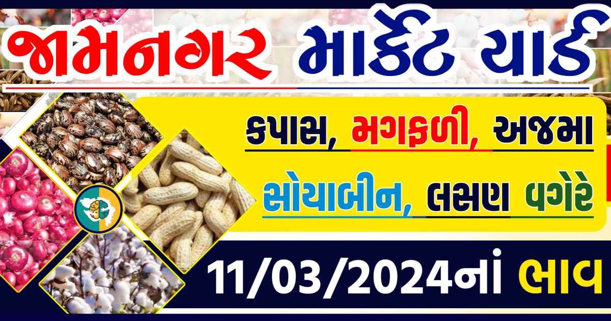 Today 11/03/2024 Jamnagar Apmc Rate આજના જામનગરના બજાર ભાવ Gkmarugujarat.com