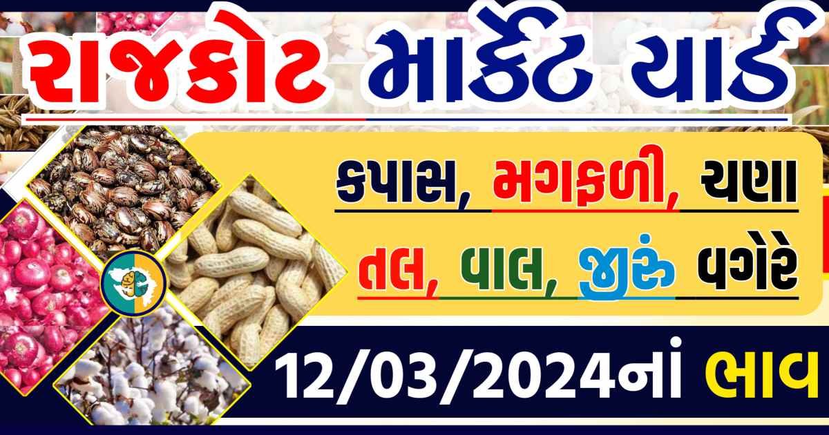 Today 12/03/2024 Rajkot Apmc Rate આજના રાજકોટના બજાર ભાવ Gkmarugujarat.com