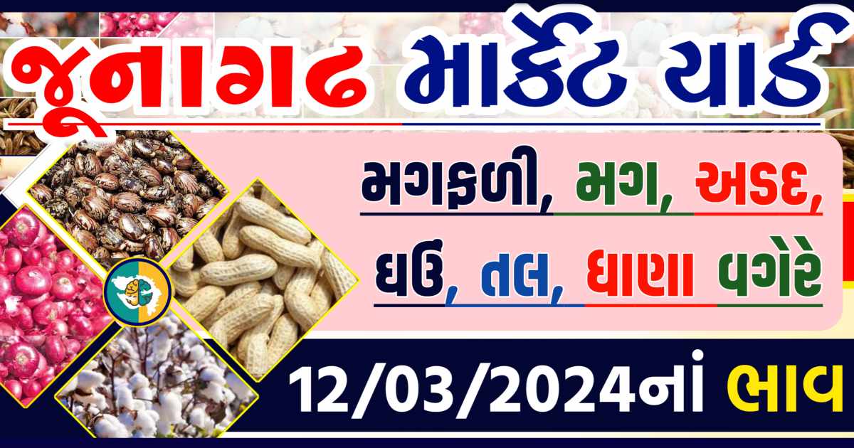 Today 12/03/2024 Junagadh Apmc Rate આજના જુનાગઢના બજાર ભાવ Gkmarugujarat.com