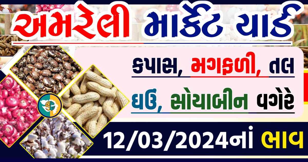 Today 12/03/2024 Amreli Apmc Rate આજના અમરેલીના બજાર ભાવ Gkmarugujarat.com