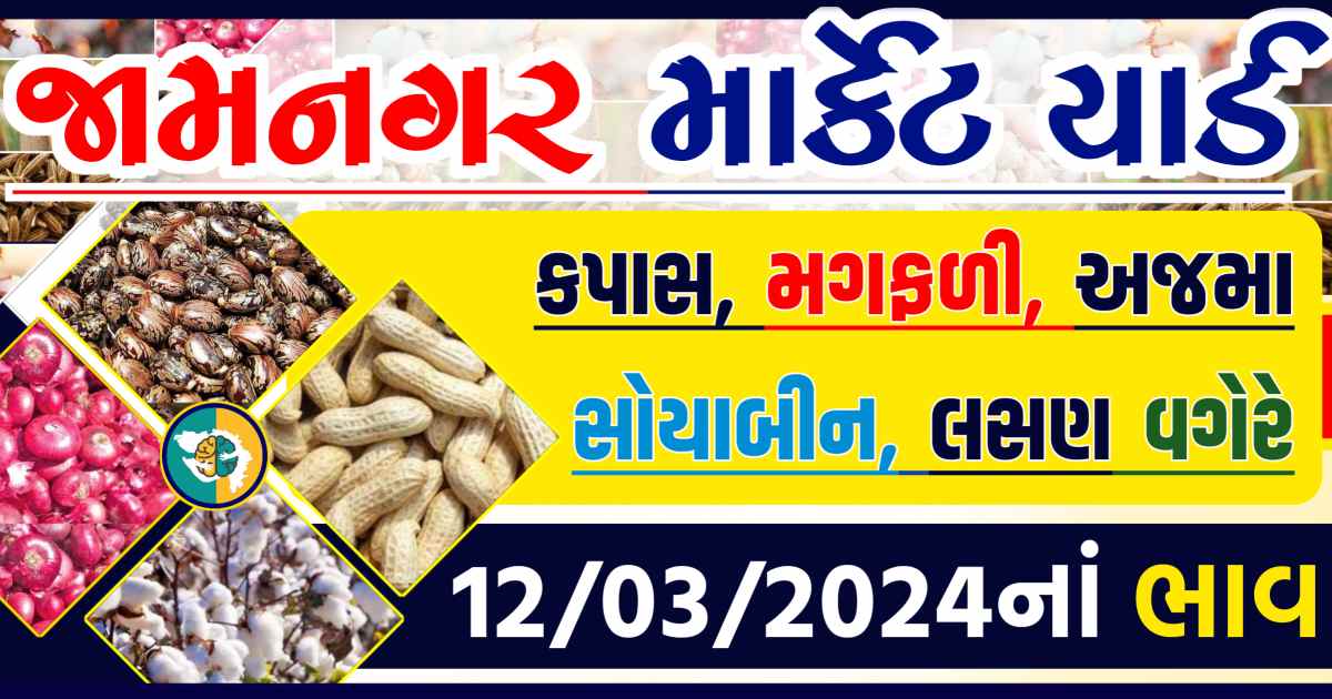 Today 12/03/2024 Jamnagar Apmc Rate આજના જામનગરના બજાર ભાવ Gkmarugujarat.com