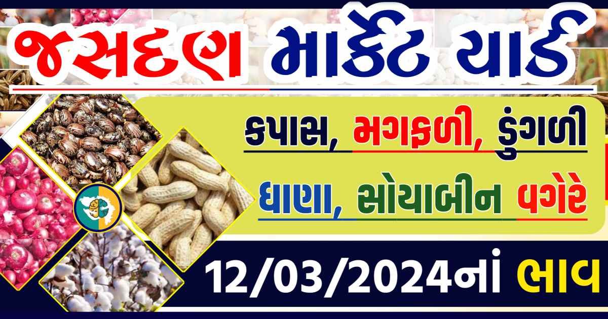 Today 12/03/2024 Jasdan Apmc Rate આજના જસદણના બજાર ભાવ Gkmarugujarat.com