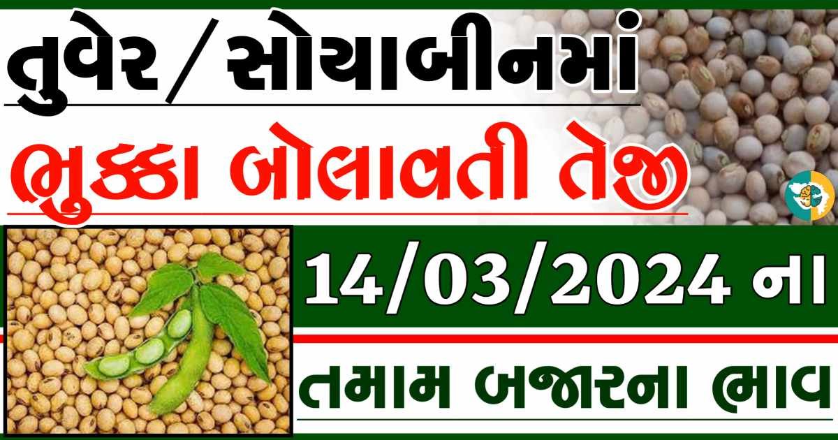 14/03/2024 Turmeric Soybeans Apmc Rate આજના તુવેર અને સોયાબીનના બજાર ભાવ gkmarugujarat.com