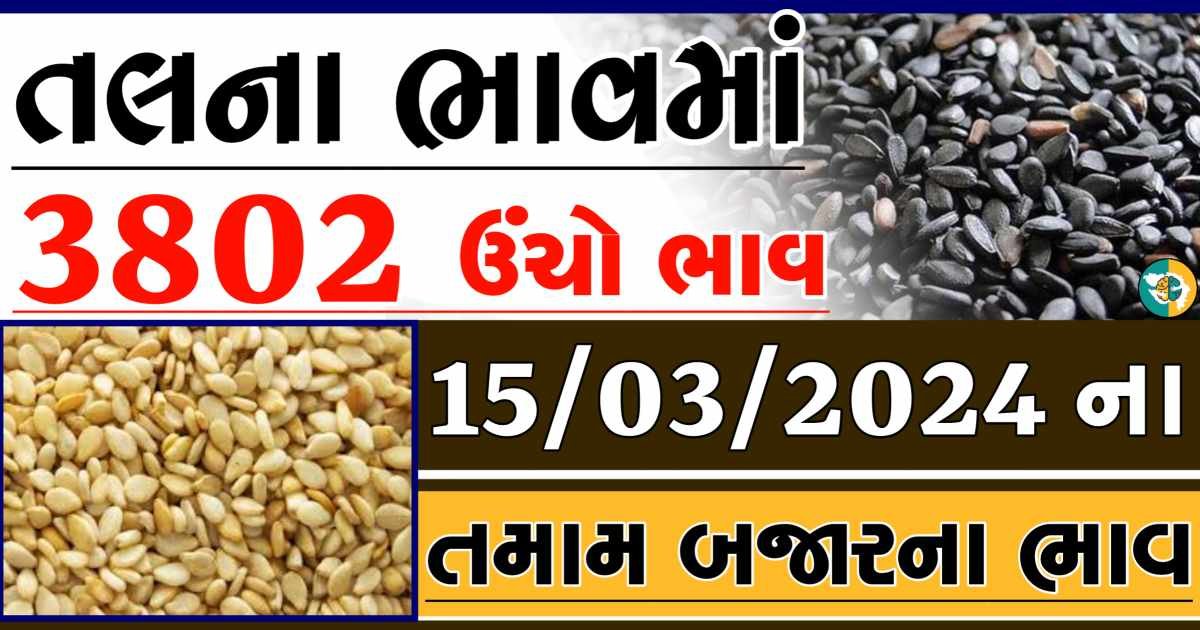 Today 15/03/2024 Sesame Apmc Rate આજના સફેદ અને કાળા તલના બજાર ભાવ Gkmarugujarat.com