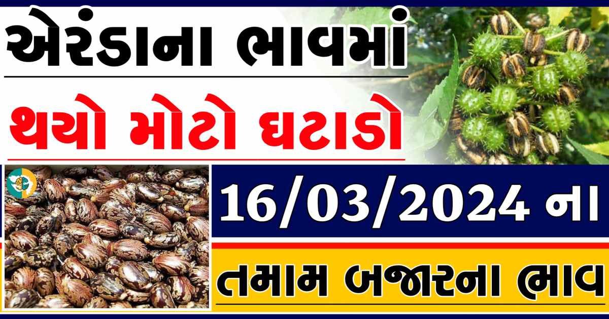 Today 16/03/2024 Eranda Apmc Rate આજના એરંડાના બજાર ભાવ gkmarugujarat.com