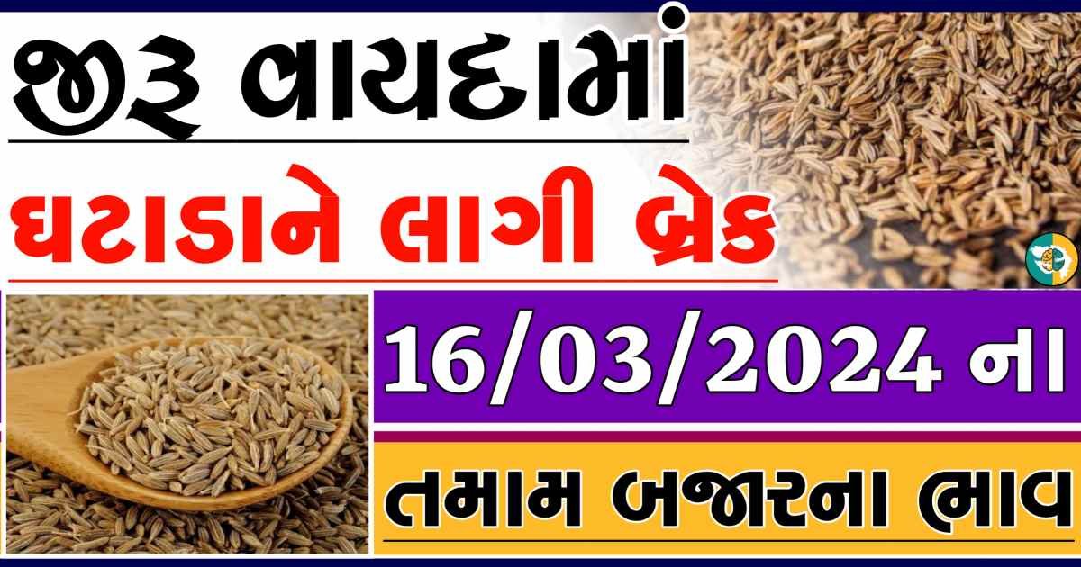 Today 16/03/2024 Jiru Apmc Rate આજના જીરુના બજાર ભાવ gkmarugujarat.com