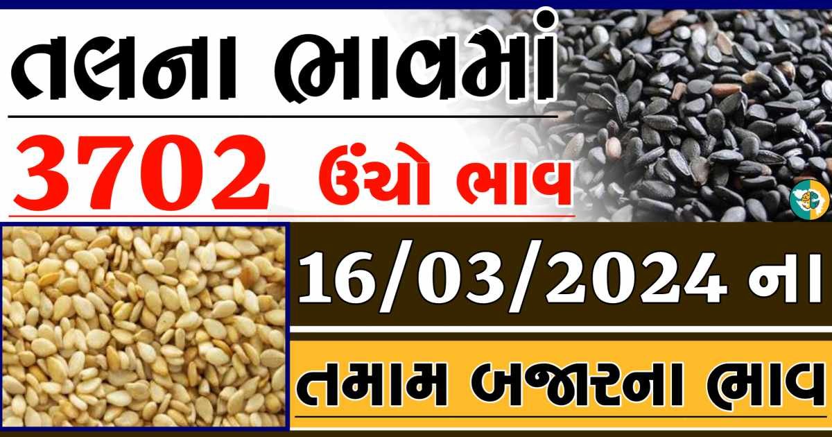 Today 16/03/2024 Sesame Apmc Rate આજના સફેદ અને કાળા તલના બજાર ભાવ Gkmarugujarat.com