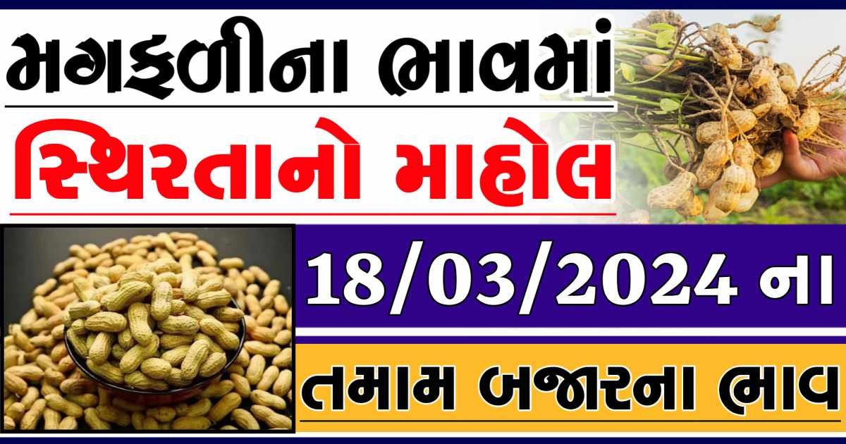 Today 18/03/2024 Peanuts Apmc Rate આજના જાડી અને જીણી મગફળીના બજાર ભાવ Gkmarugujarat.com