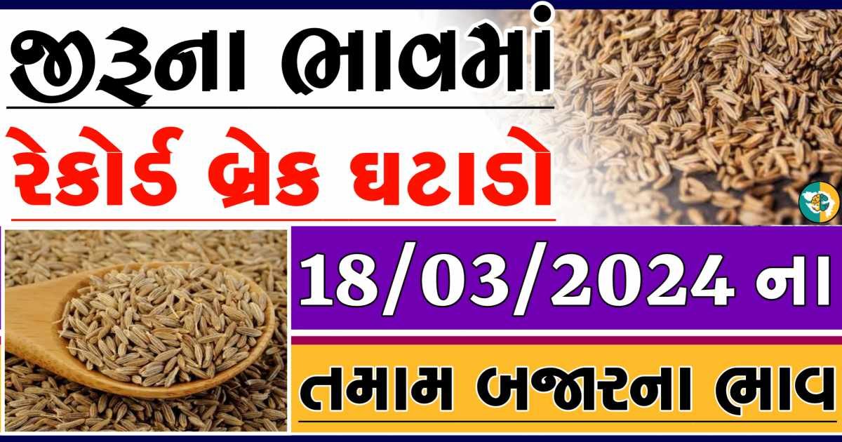 Today 18/03/2024 Jiru Apmc Rate આજના જીરુના બજાર ભાવ gkmarugujarat.com