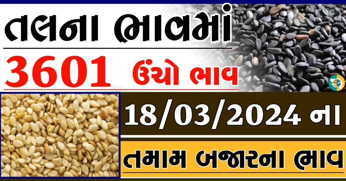 Today 18/03/2024 Sesame Apmc Rate આજના સફેદ અને કાળા તલના બજાર ભાવ Gkmarugujarat.com