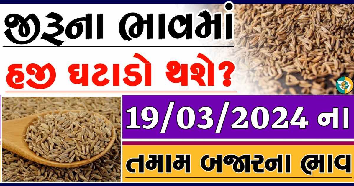 jiru Price આજના જીરુના બજાર ભાવ gkmarugujarat.com