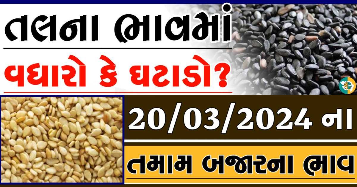 Tal price આજના સફેદ અને કાળા તલના બજાર ભાવ Gkmarugujarat.com