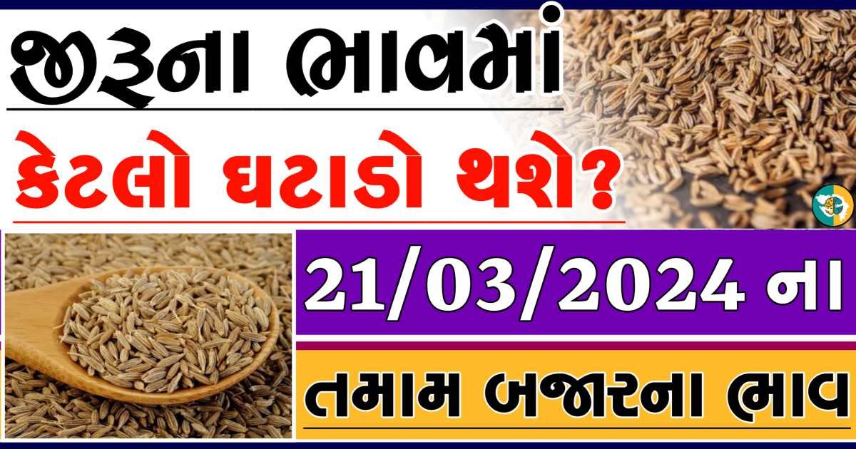 jiru Price 21-03-2024 આજના જીરુના બજાર ભાવ gkmarugujarat.com