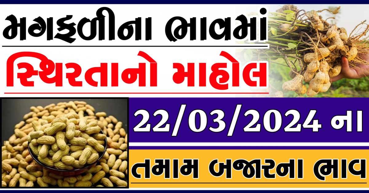 Magfali Price 22-03-2024 જાડી અને જીણી મગફળીના ભાવ Gkmarugujarat.com