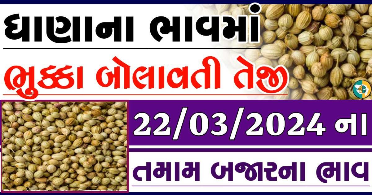 Dhana Price 22-03-2024 આજના ધાણાના બજાર ભાવ gkmarugujarat.com