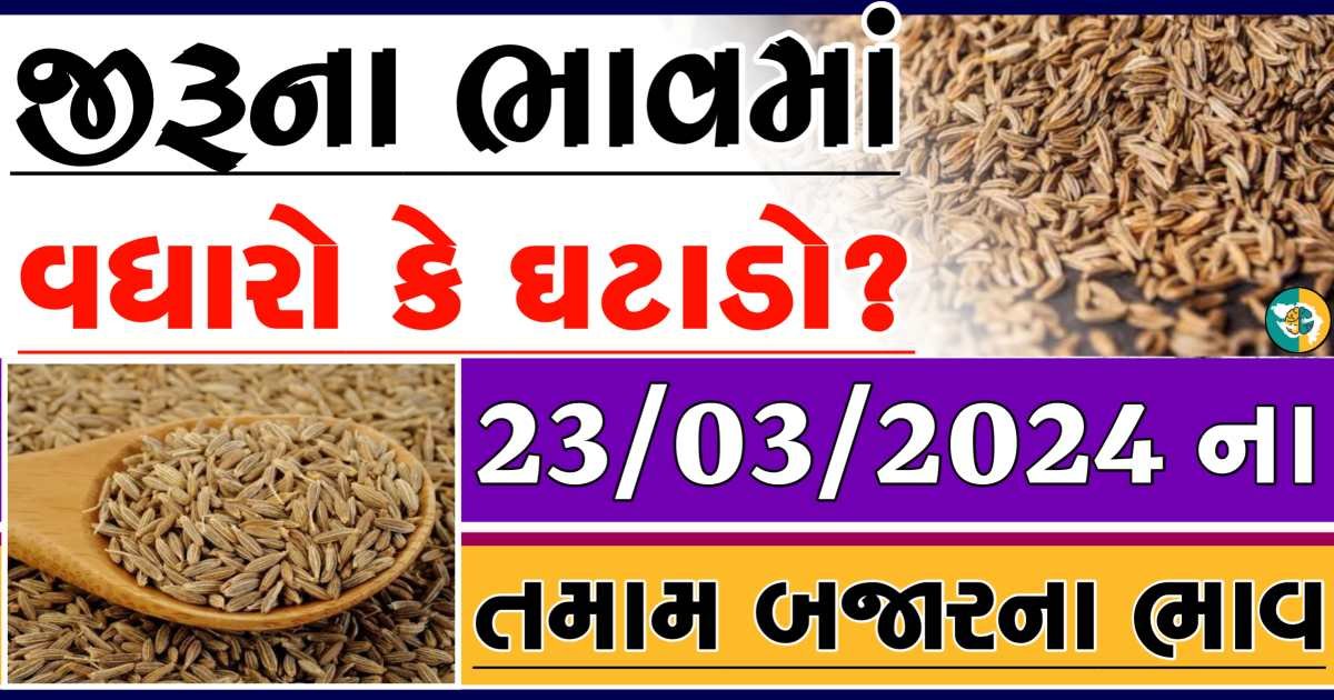 jiru Price 23-03-2024 આજના જીરુના બજાર ભાવ gkmarugujarat.com