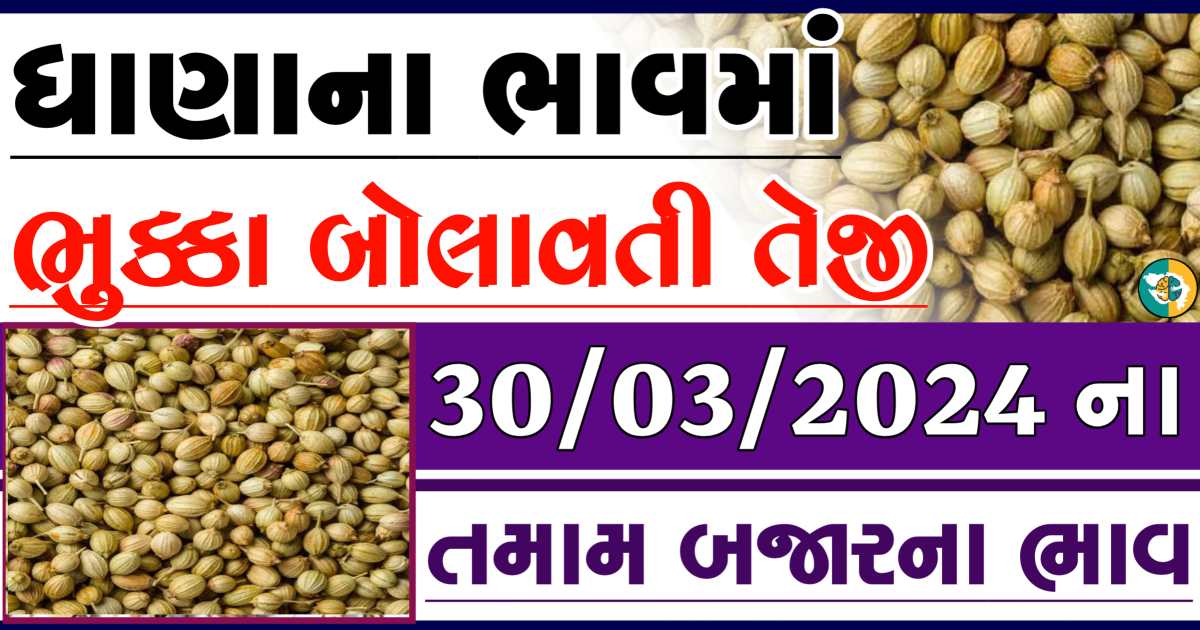 Dhana Price 30-03-2024 આજના ધાણાના બજાર ભાવ gkmarugujarat.com