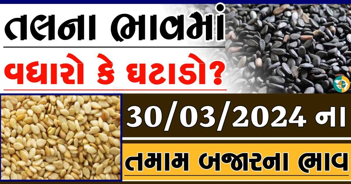 Tal price 30-03-2024 આજના સફેદ અને કાળા તલના બજાર ભાવ Gkmarugujarat.com