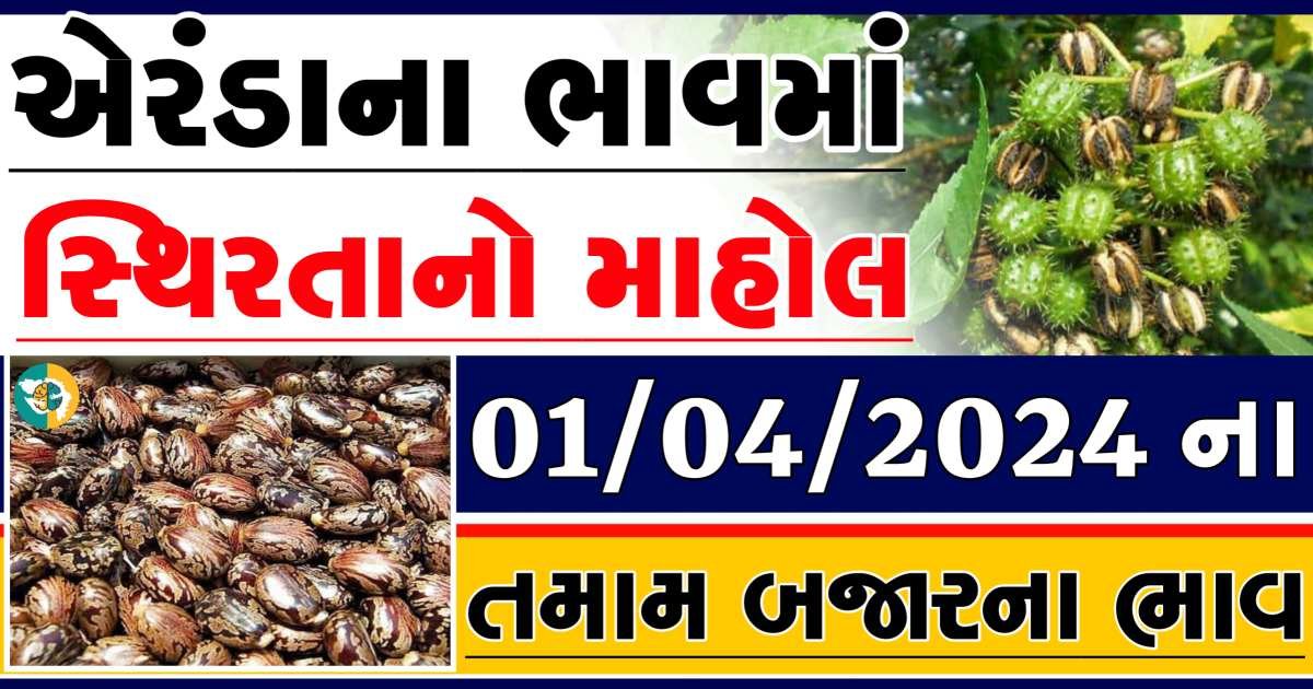 Eranda Price 01-04-2024 આજના એરંડાના બજાર ભાવ gkmarugujarat.com