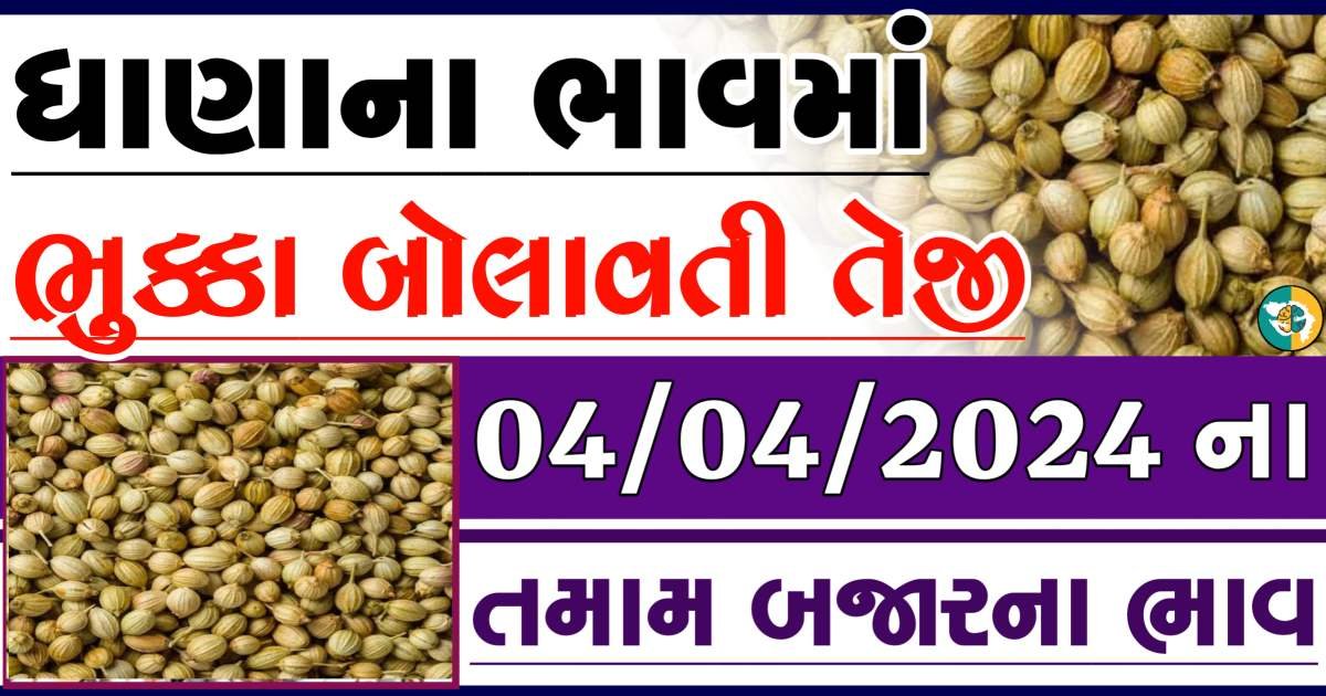 Dhana Price 04-04-2024 આજના ધાણા 04-04-2024 ના બજાર ભાવ gkmarugujarat.com