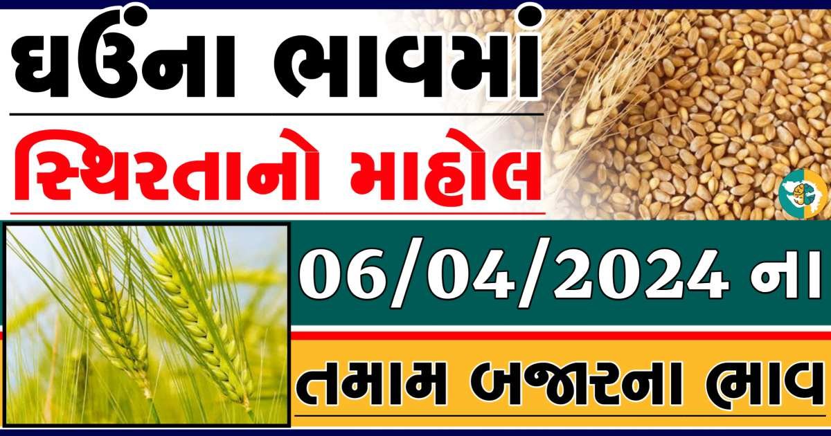 Ghau Price 06-04-2024 આજના લોકવન અને ટુકડા ઘઉં ના બજાર ભાવ gkmarugujarat.com