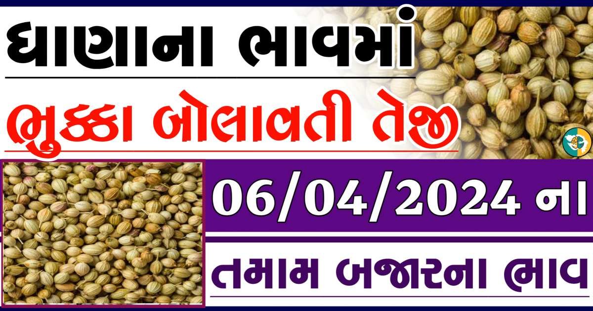 Dhana Price 06-04-2024 આજના ધાણા ના બજાર ભાવ gkmarugujarat.com