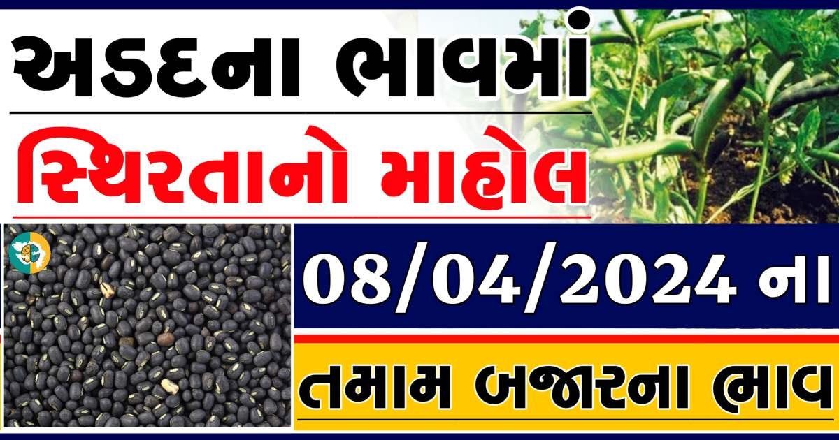 Arad Price 08-04-2024 આજના અડદ ના બજાર ભાવ gkmarugujarat.com