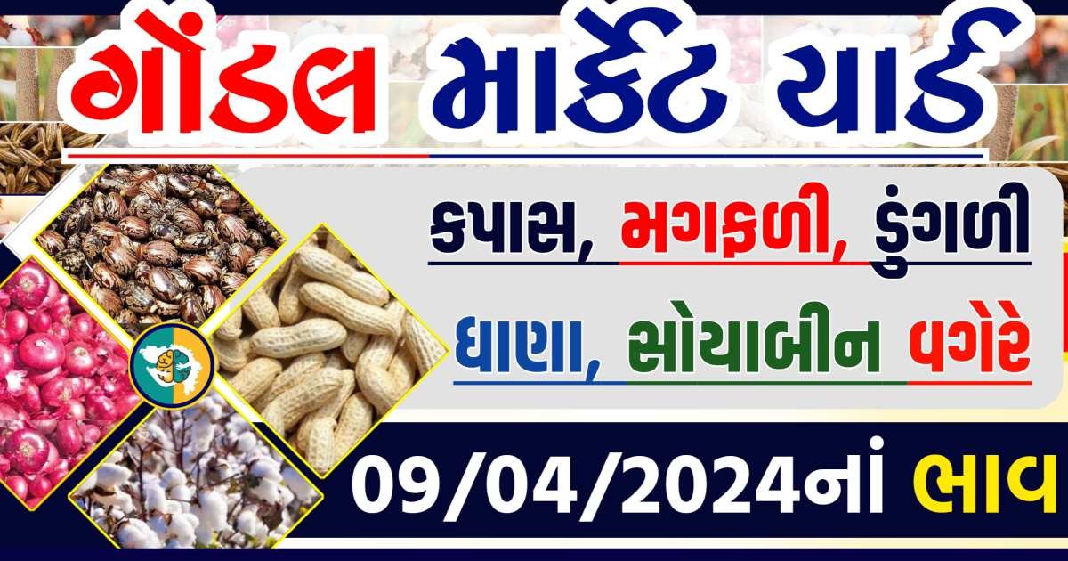 Gondal Apmc Rate 09-04-2024 આજના ગોંડલ માર્કેટ યાર્ડના બજાર ભાવ gkmarugujarat.com