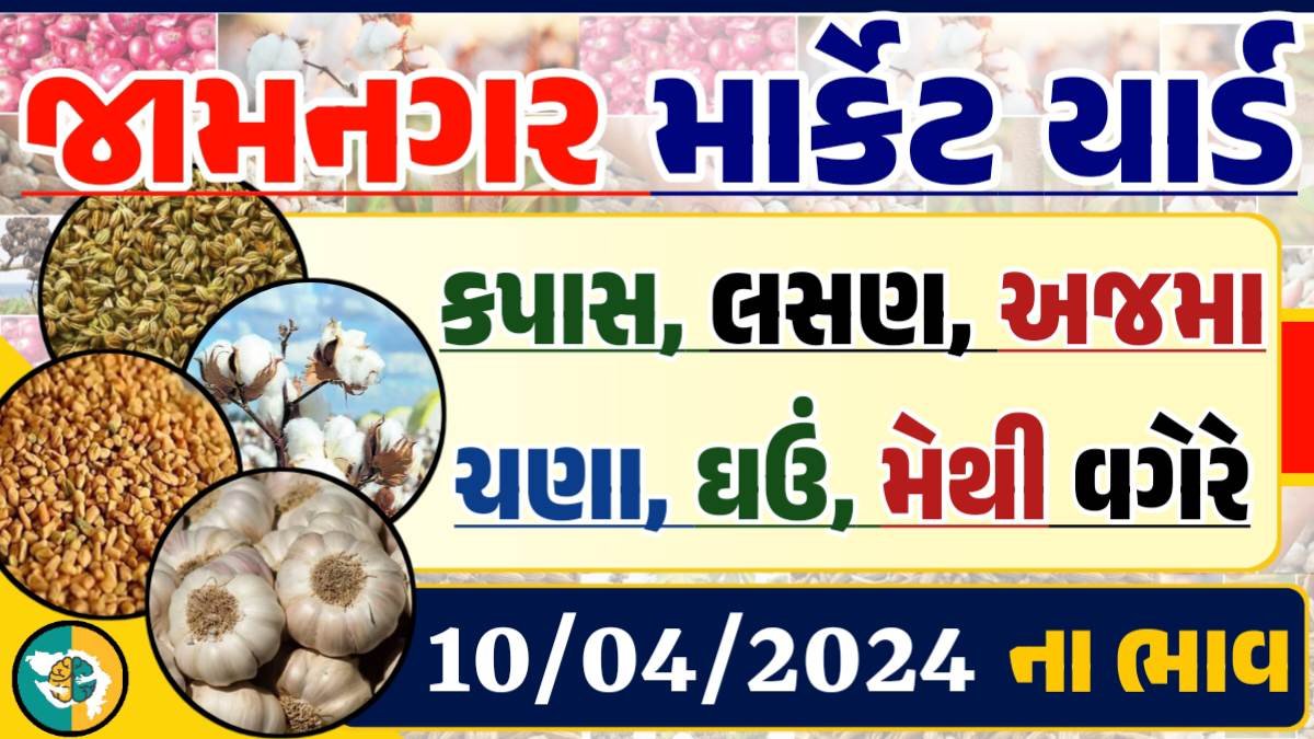 Jamnagar Apmc Rate 10-04-2024 આજના જામનગર ના બજાર ભાવ Gkmarugujarat.com