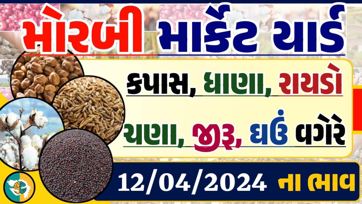 Morbi Apmc Rate 10-12-2024 આજના મોરબી માર્કેટના બજાર ભાવ Gkmarugujarat.com