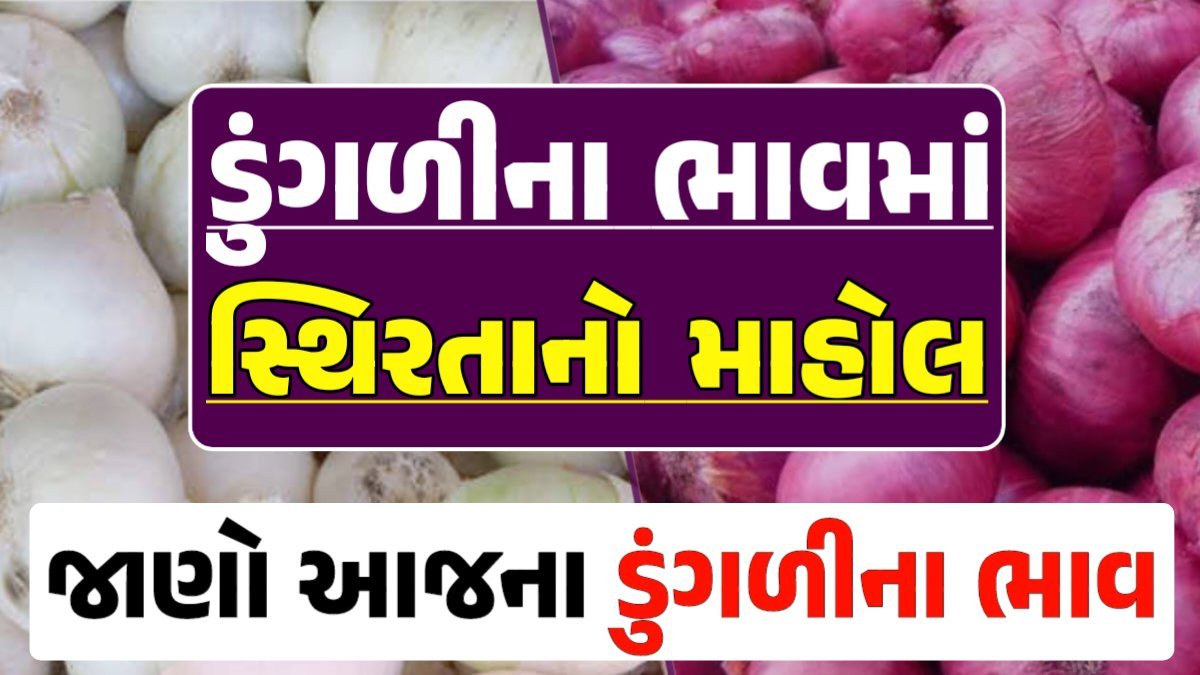 Onion Price 13-04-2024 લાલ અને સફેદ ડુંગળી ના બજાર ભાવ Gkmarugujarat.com