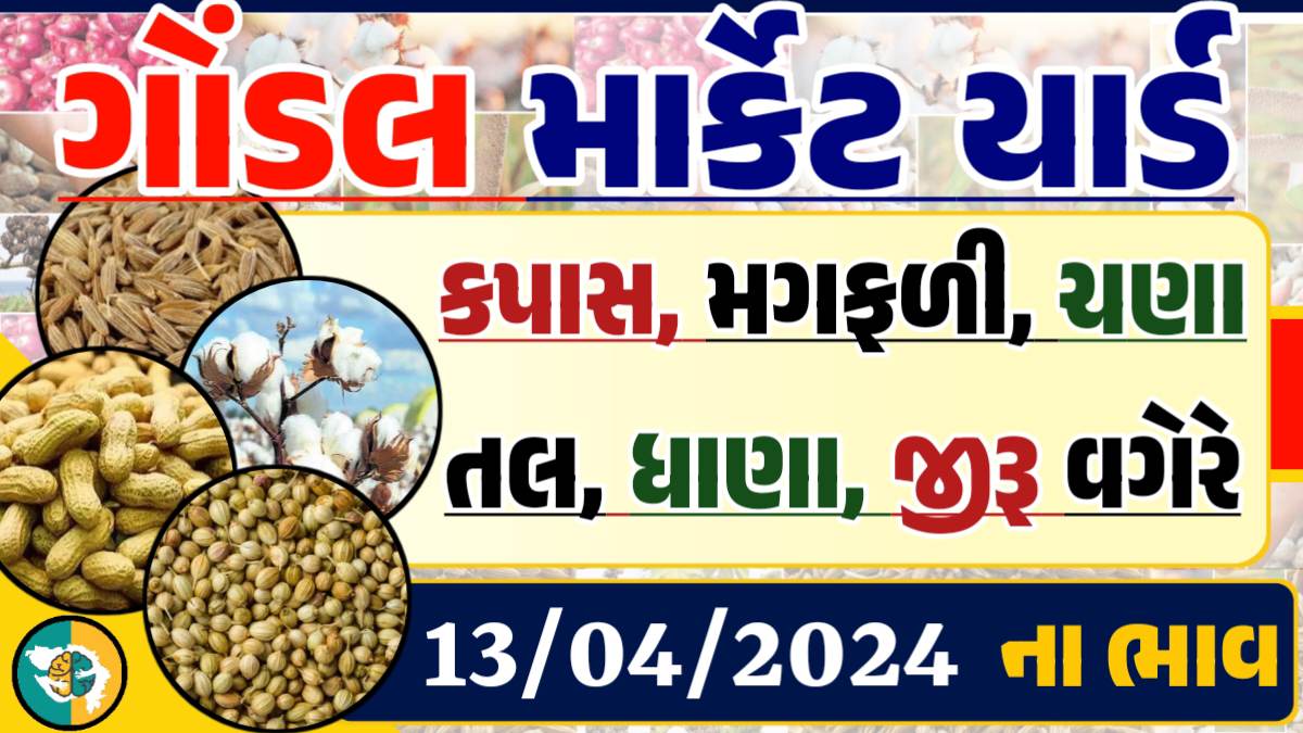 Gondal Apmc Rate 13-04-2024 આજના ગોંડલ માર્કેટ યાર્ડના બજાર ભાવ gkmarugujarat.com