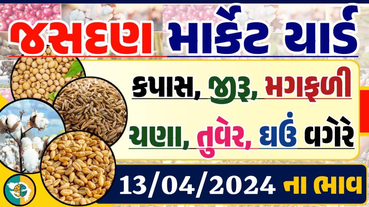 Jasdan Apmc Rate 13-04-2024 આજના જસદણ માર્કેટના બજાર ભાવ Gkmarugujarat.com