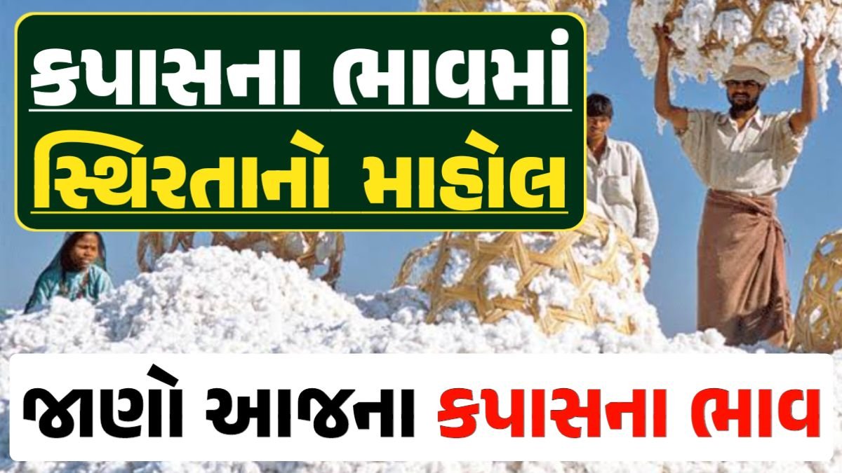 Cotton Price 18-04-2024 કપાસ બજાર ભાવ gkmarugujarat.com