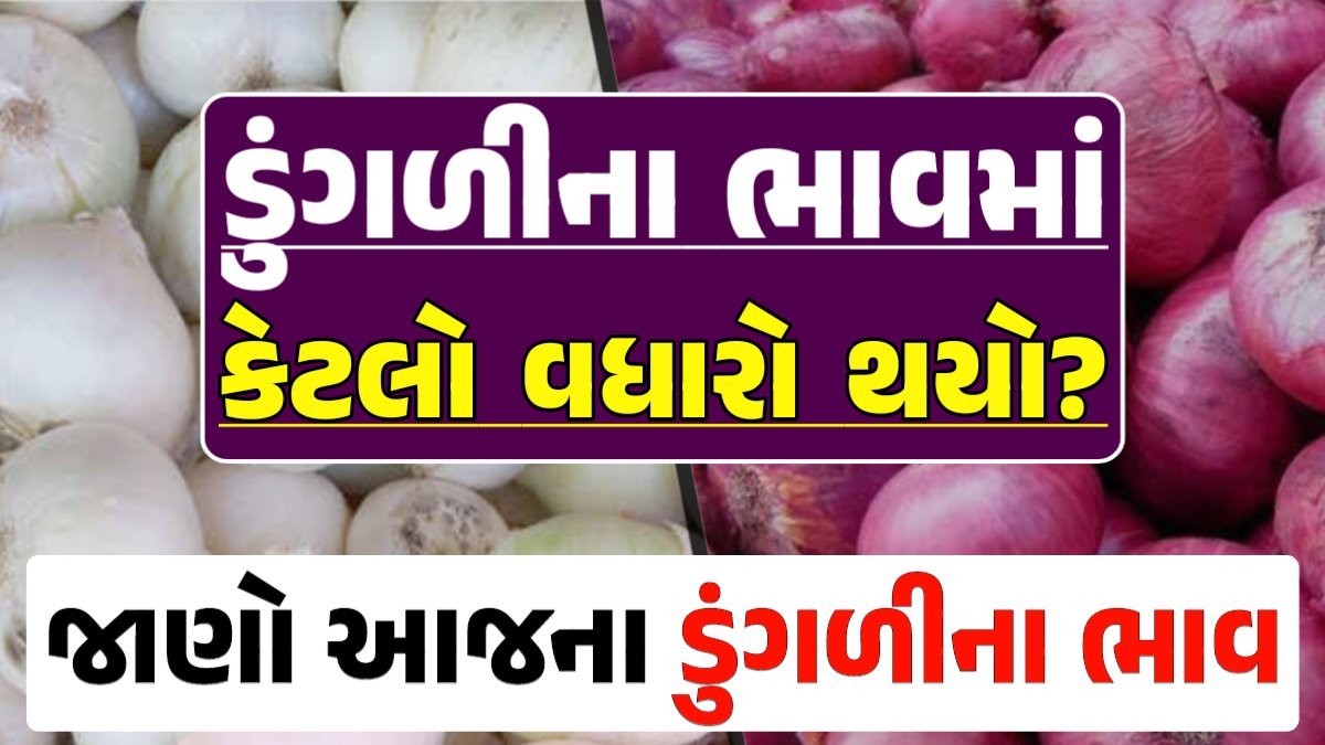 Onion Price 18-04-2024 લાલ અને સફેદ ડુંગળી ના બજાર ભાવ Gkmarugujarat.com