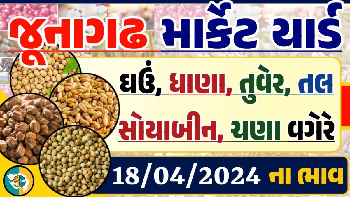 Junagadh Apmc Rate 18-04-2024 આજના જુનાગઢ ના બજાર ભાવ Gkmarugujarat.com