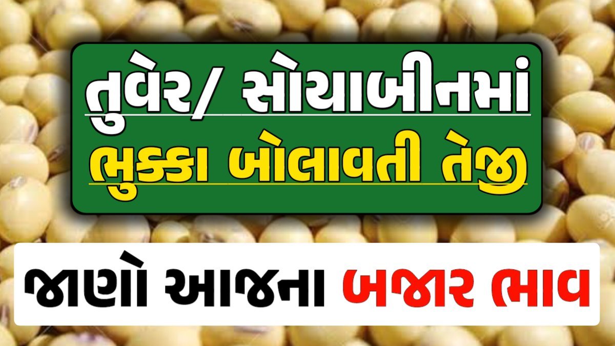 Turmeric And Soybeans Price 02-05-2024 તુવેર સોયાબીન ના બજાર ભાવ gkmarugujarat.com