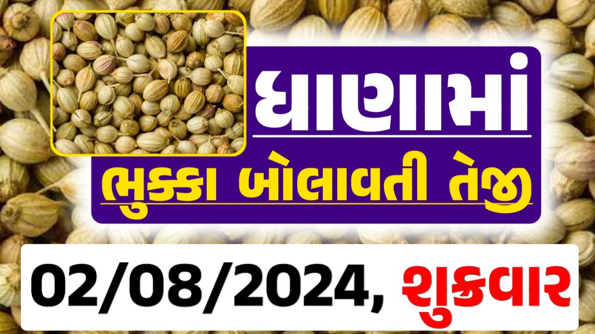 Dhana Price 02-08-2024 આજના ધાણા ના બજાર ભાવ gkmarugujarat.com