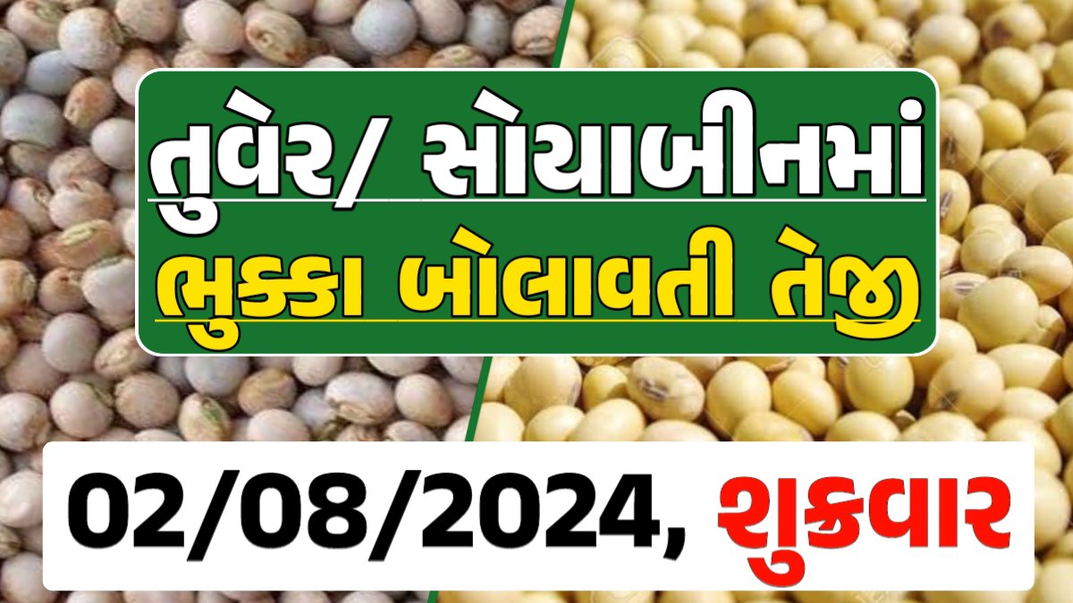Turmeric And Soybeans Price 02-08-2024 તુવેર સોયાબીન ના બજાર ભાવ gkmarugujarat.com