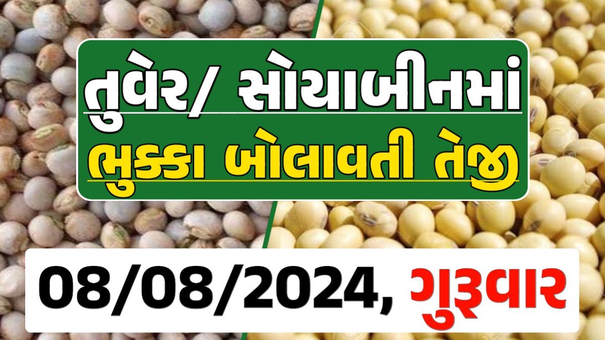 Turmeric And Soybeans Price 08-08-2024 તુવેર સોયાબીન ના બજાર ભાવ gkmarugujarat.com