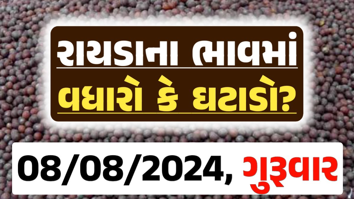 Rayda Price 08-08-2024 આજના રાયડા ના બજાર ભાવ gkmarugujarat.com