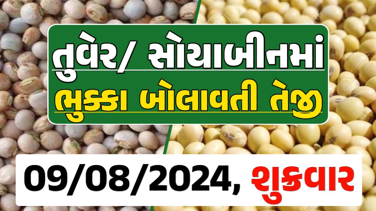 Turmeric And Soybeans Price 09-08-2024 તુવેર સોયાબીન ના બજાર ભાવ gkmarugujarat.com