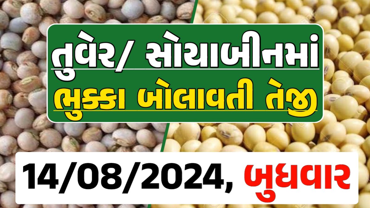 Turmeric And Soybeans Price 14-08-2024 તુવેર સોયાબીન ના બજાર ભાવ gkmarugujarat.com