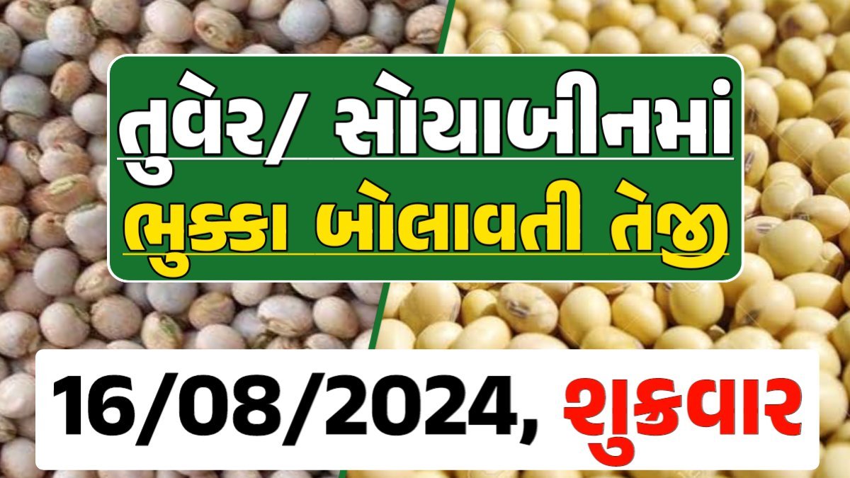 Turmeric And Soybeans Price 16-08-2024 તુવેર સોયાબીન ના બજાર ભાવ gkmarugujarat.com