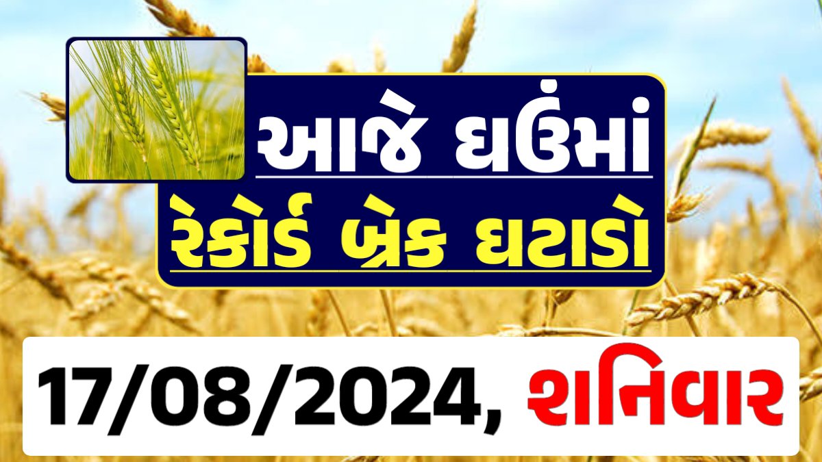 Ghau Price 21-08-2024 આજના લોકવન અને ટુકડા ઘઉં ના બજાર ભાવ gkmarugujarat.com
