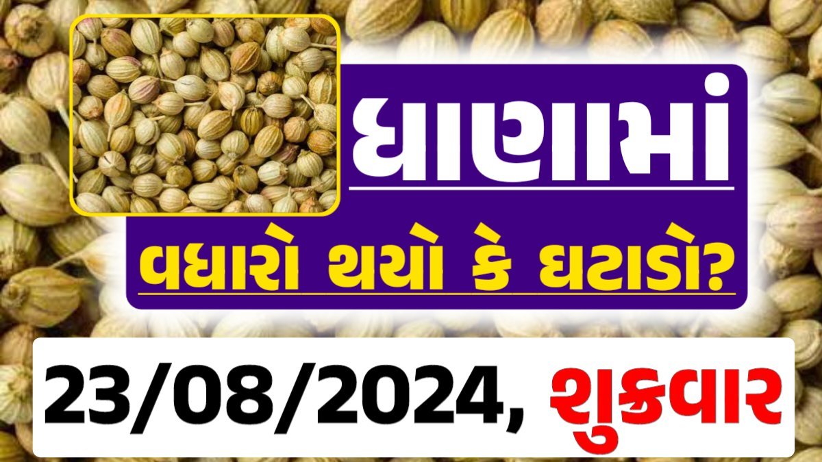 Dhana Price 23-08-2024 આજના ધાણા ના બજાર ભાવ gkmarugujarat.com