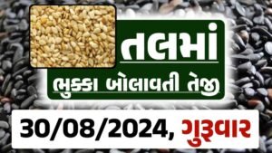 Tal price 30-08-2024 આજના સફેદ અને કાળા તલ ના બજાર ભાવ Gkmarugujarat.com