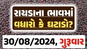 Rayda Price 30-08-2024 આજના રાયડા ના બજાર ભાવ gkmarugujarat.com